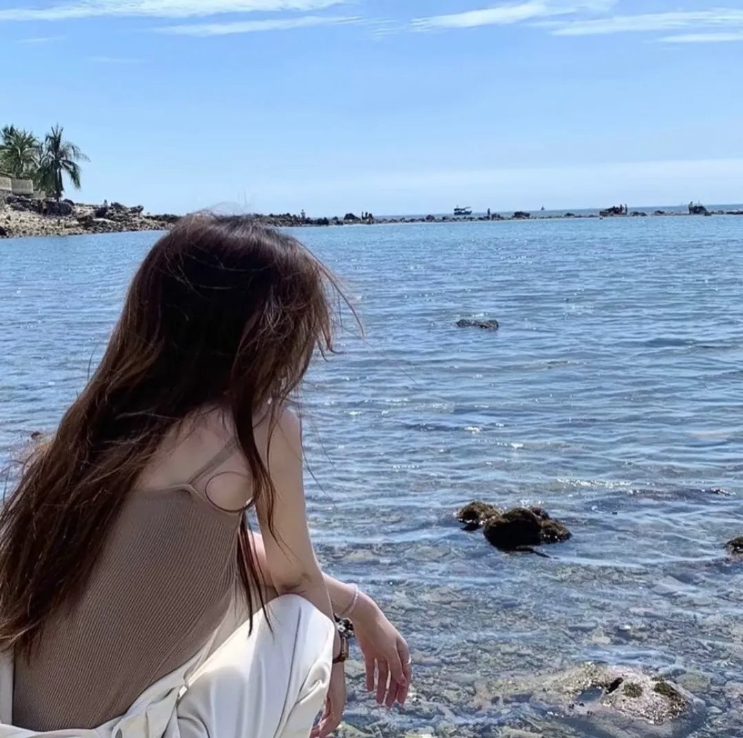 精灵宝可梦:皮卡丘的暑假